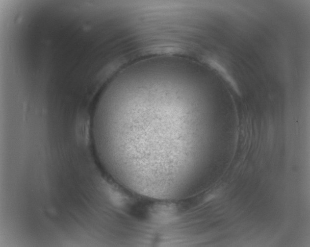 X0000069830110200605261851