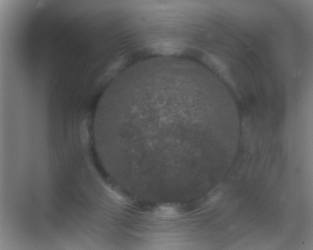 X0000069830114200605261851