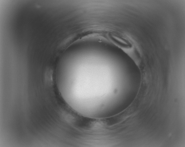 X0000069830115200605261851