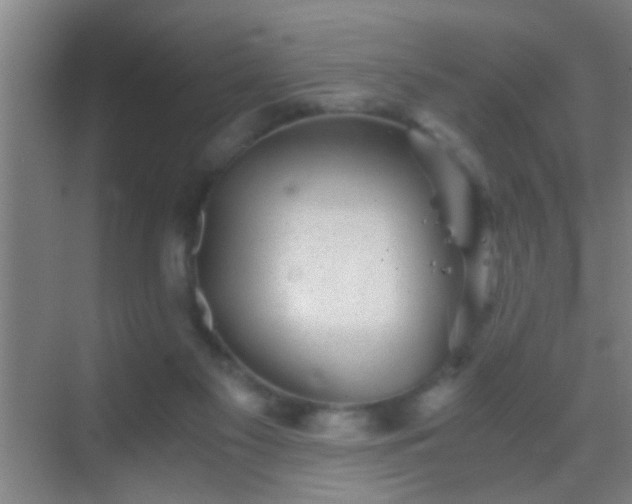 X0000069830117200605261851