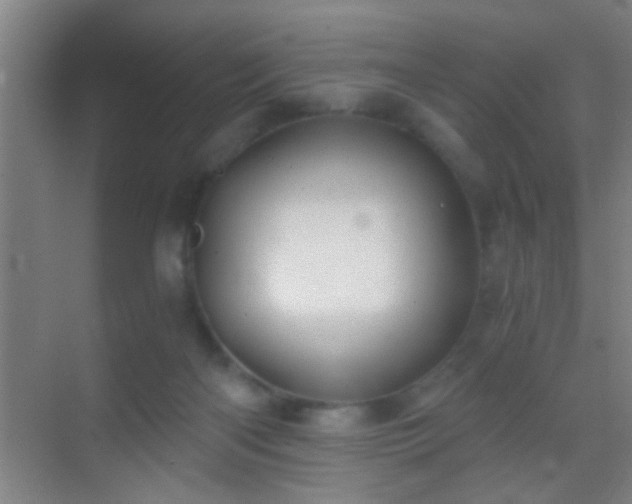 X0000069830122200605261851