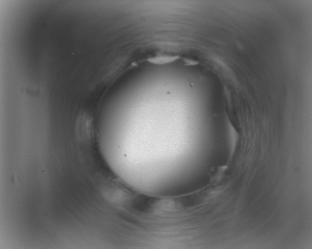 X0000069830123200605261851