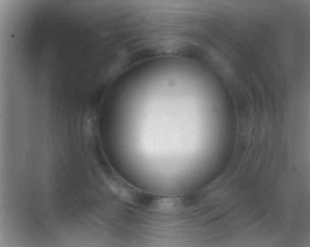 X0000069830126200605261851