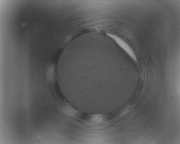 X0000069830127200605261851