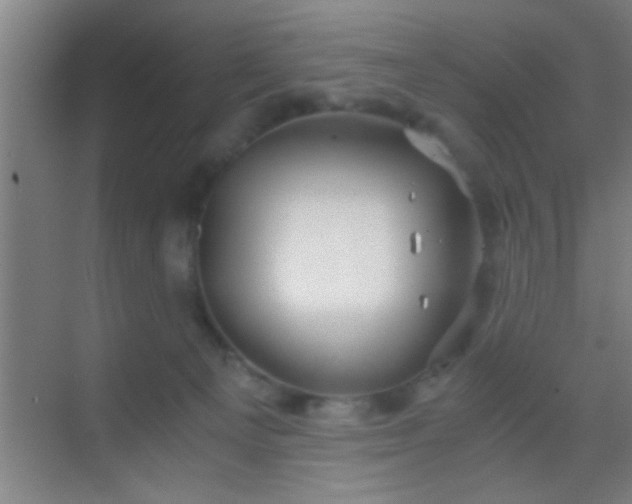 X0000069830129200605261851