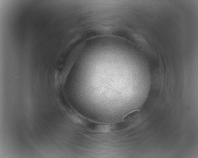 X0000069830131200605261851