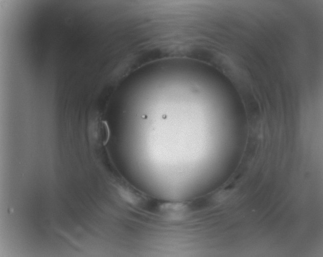 X0000069830133200605261851