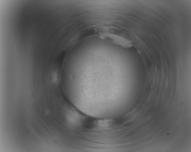 X0000069830134200605261851