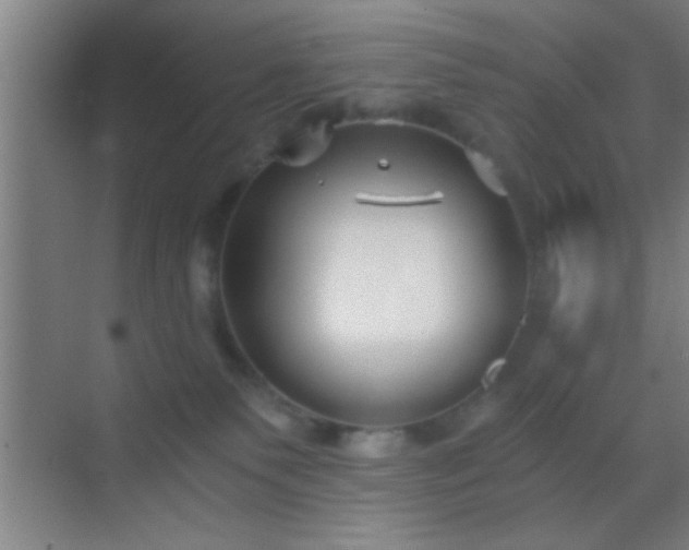 X0000069830135200605261851