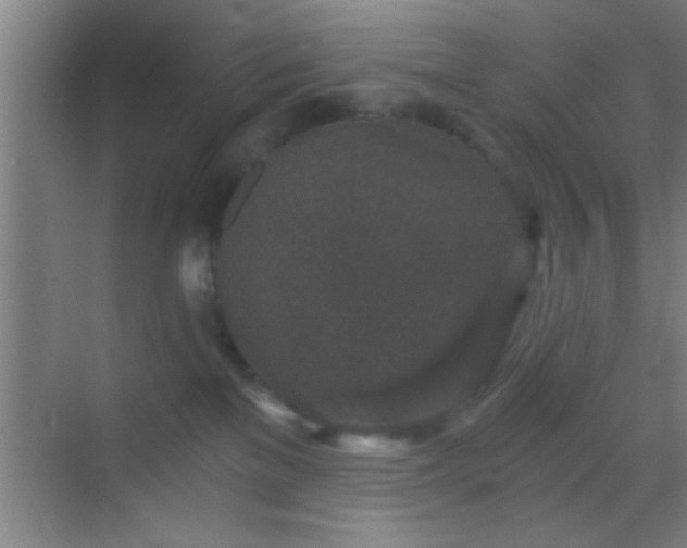 X0000069830137200605261851