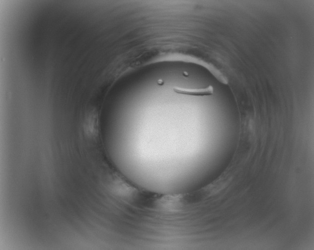 X0000069830138200605261851