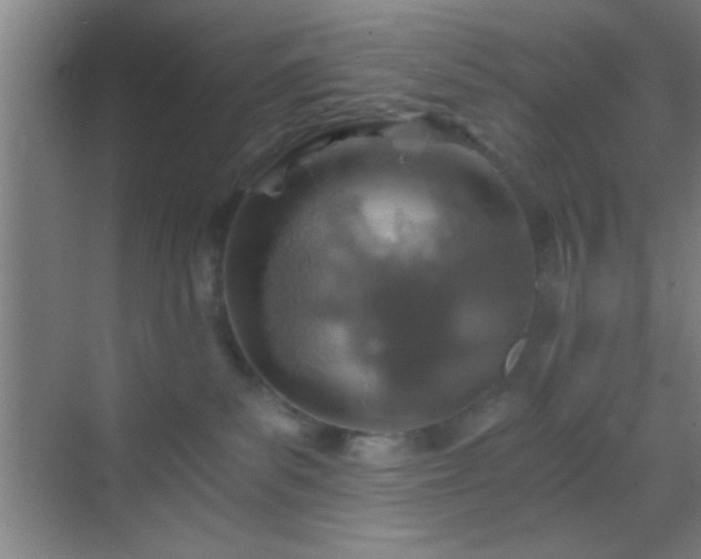 X0000069830139200605261851