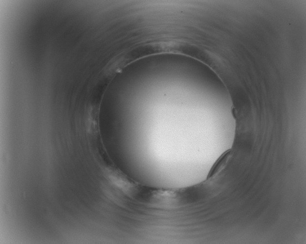 X0000069830140200605261850