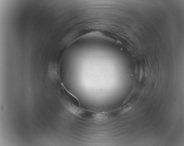 X0000069830141200605261850