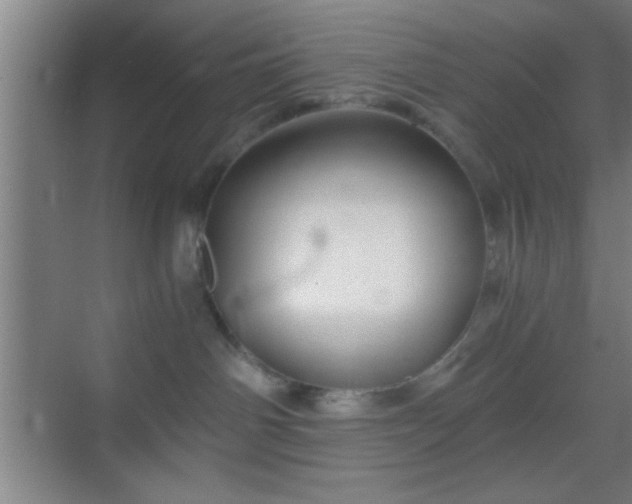 X0000069830142200605261850