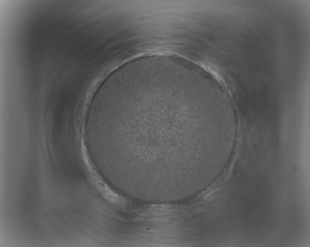 X0000069830145200605261850