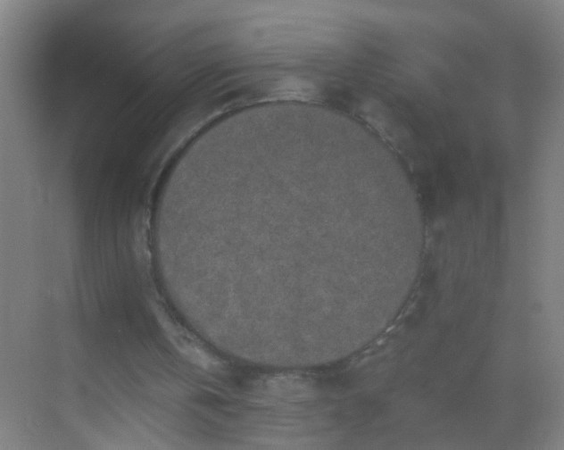 X0000069830146200605261850