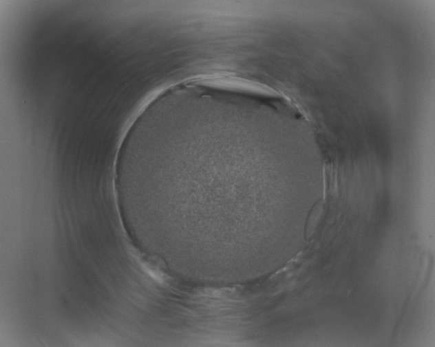 X0000069830147200605261850