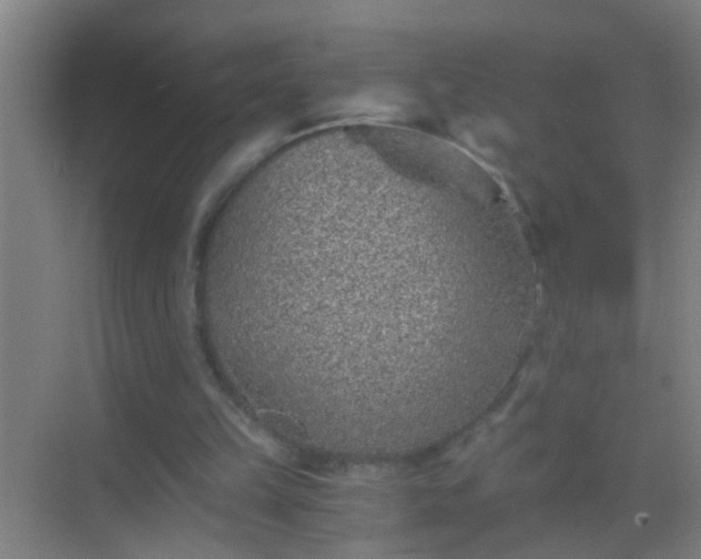 X0000069830149200605261850