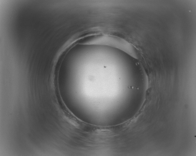 X0000069830150200605261850