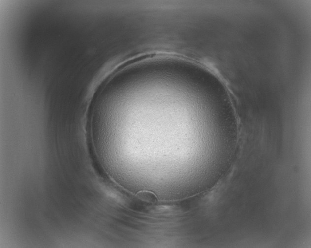 X0000069830151200605261850