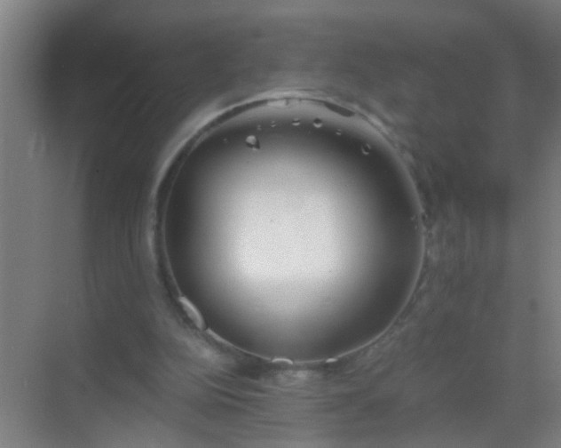 X0000069830152200605261850