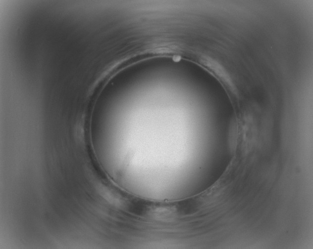 X0000069830155200605261850