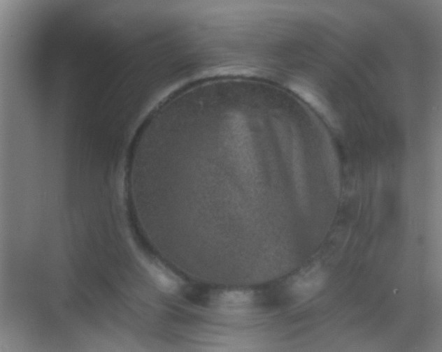 X0000069830156200605261850