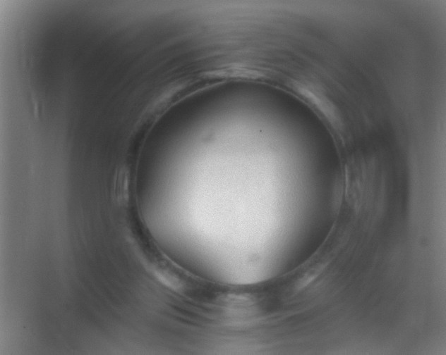 X0000069830157200605261850