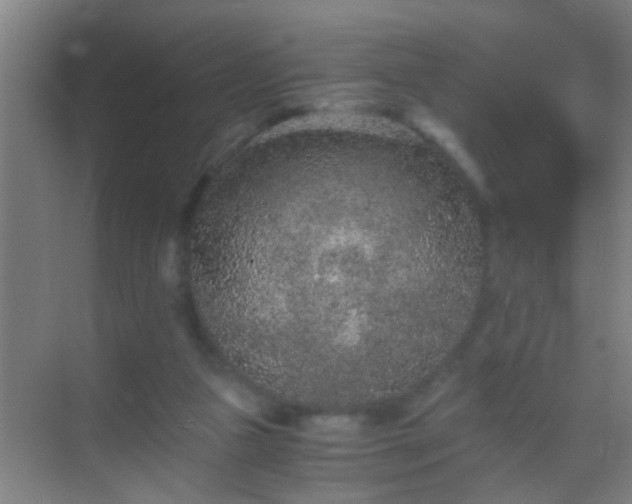 X0000069830161200605261850