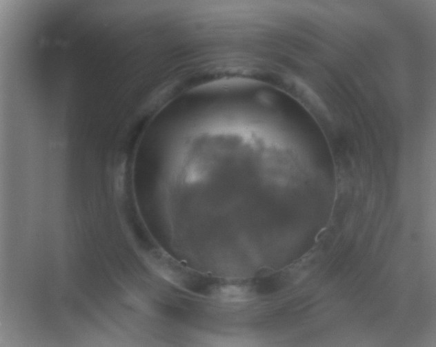 X0000069830163200605261850