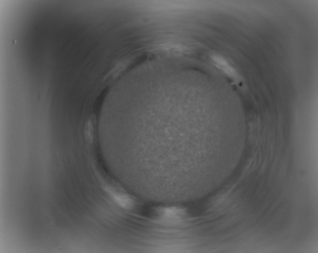 X0000069830165200605261850