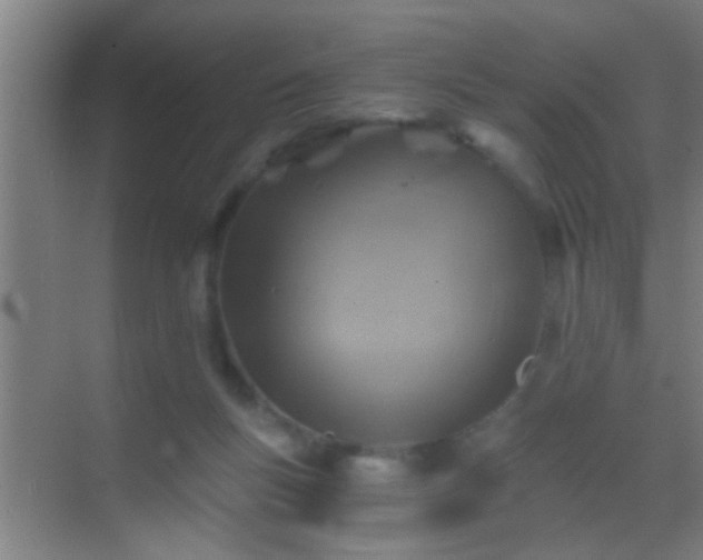 X0000069830167200605261850