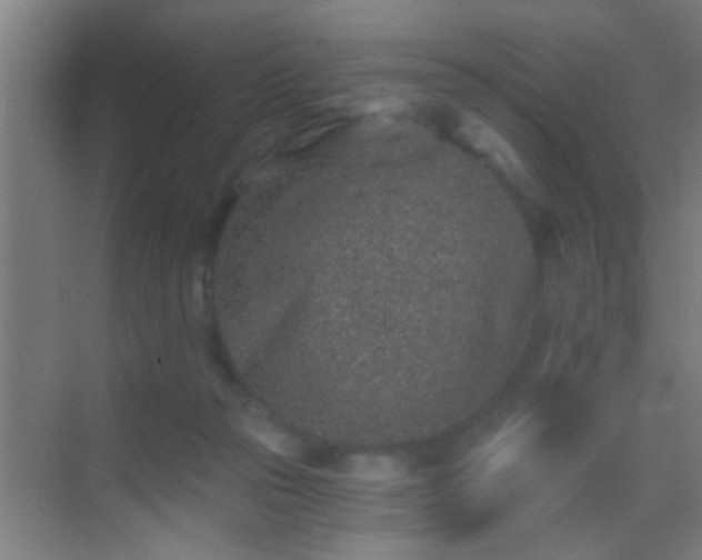 X0000069830169200605261850