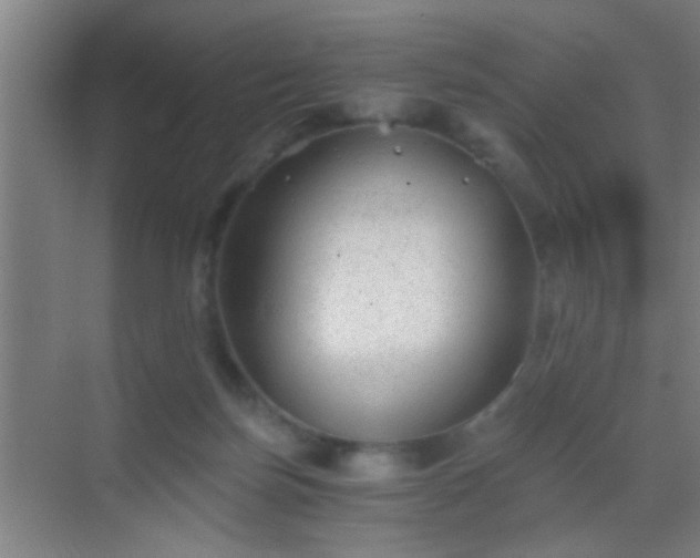 X0000069830171200605261850