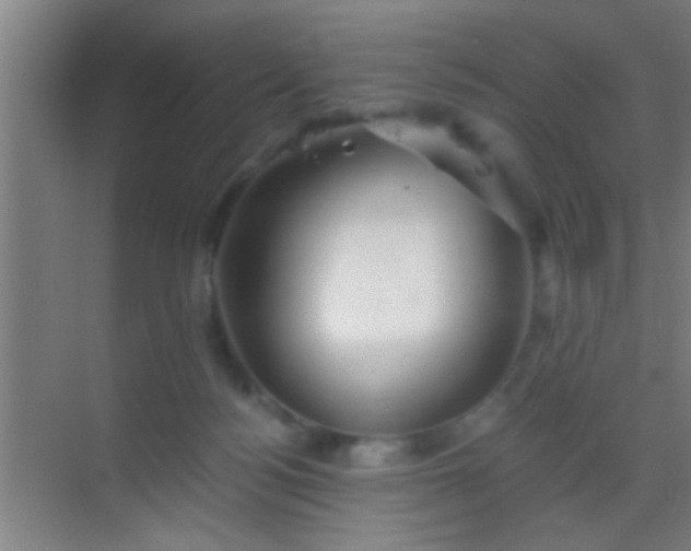 X0000069830172200605261850