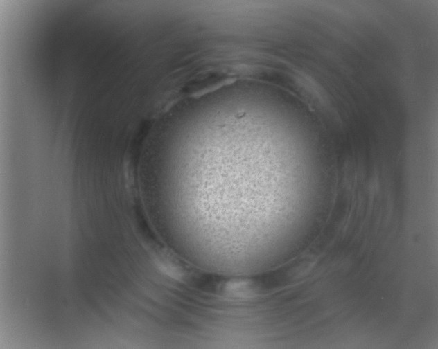 X0000069830173200605261850