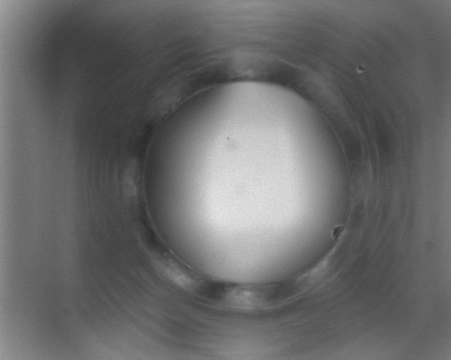 X0000069830174200605261850