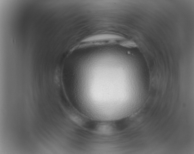 X0000069830175200605261850