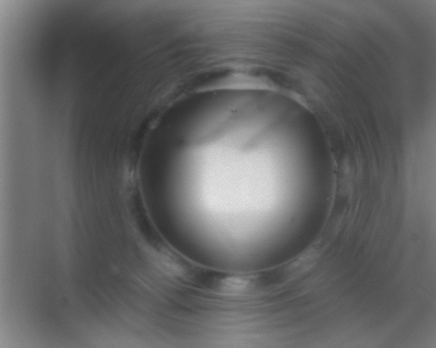 X0000069830176200605261850