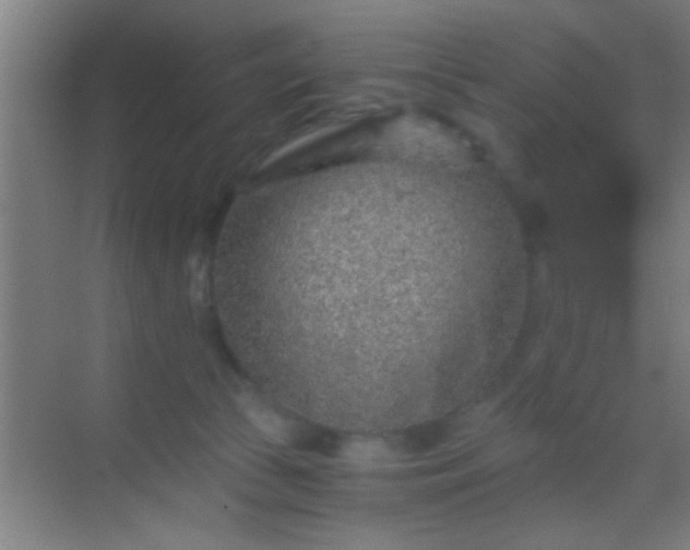 X0000069830177200605261850