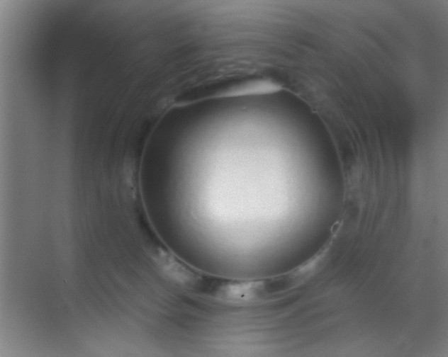 X0000069830178200605261850