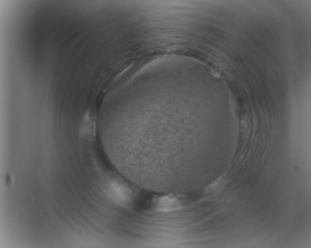 X0000069830180200605261850