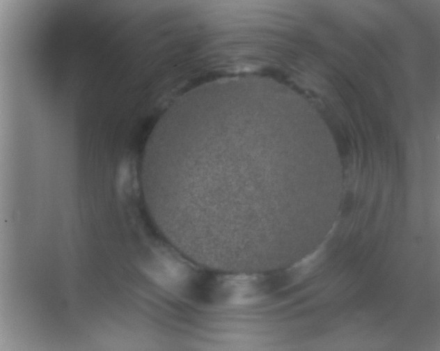 X0000069830182200605261850