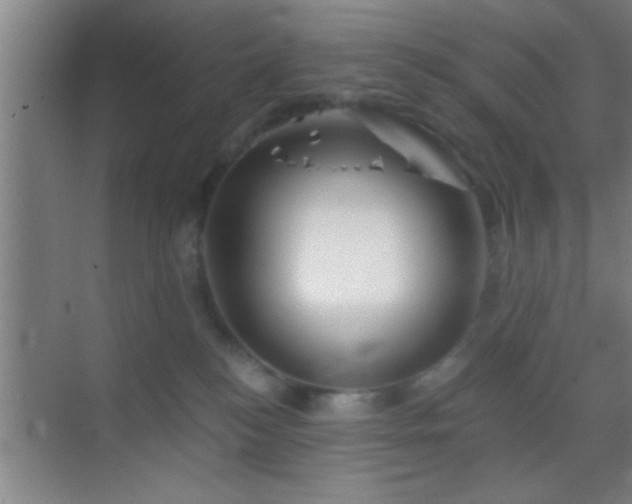 X0000069830184200605261850