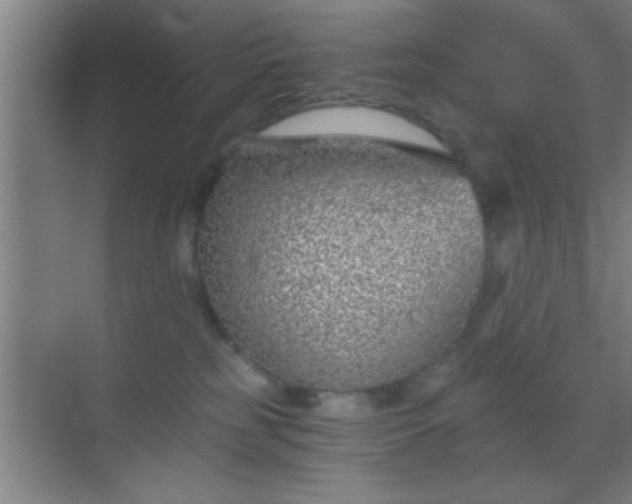 X0000069830185200605261850