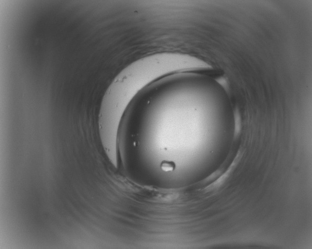 X0000069830186200605261850