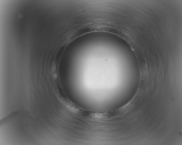 X0000069830187200605261850