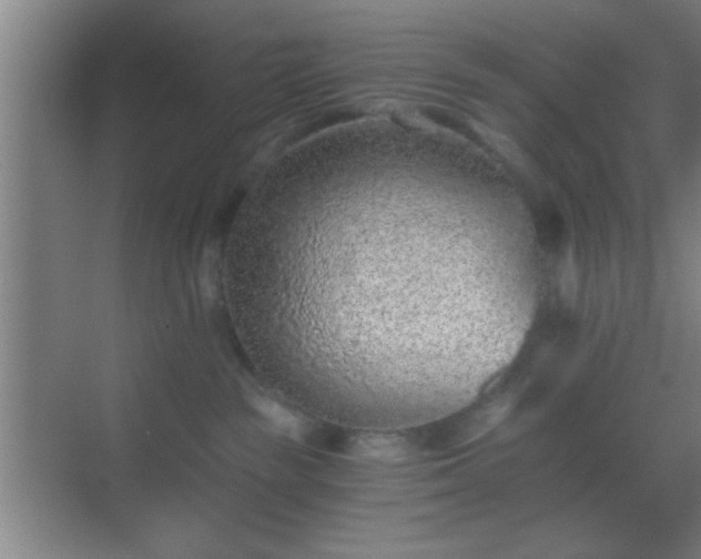 X0000069830189200605261850