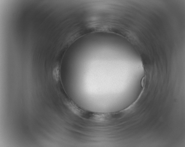 X0000069830190200605261850